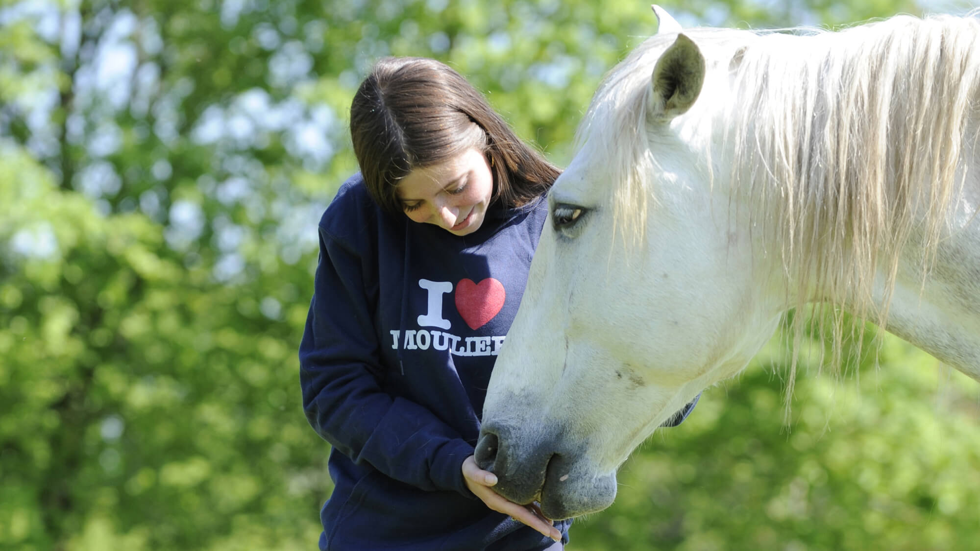 Équitation Éthologique, Naturelle pour comprendre comportement cheval